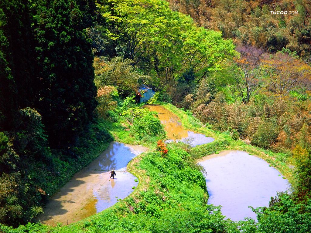 人间正道是沧桑