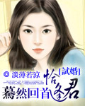 试婚：蓦然回首恰逢君