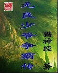 无良少爷争霸传