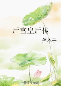 后宫皇后传