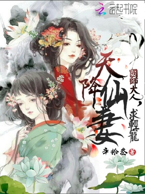 天降仙妻：国师大人，求轻宠