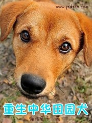 重生中华田园犬