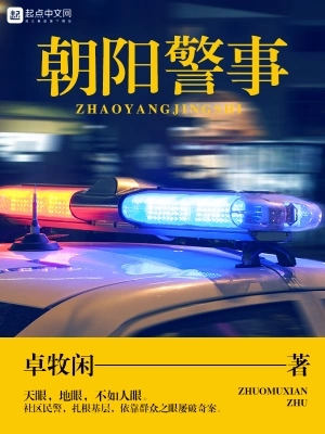 我真不是神探（朝阳警事）