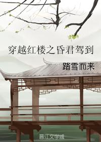 穿越红楼之昏君驾到