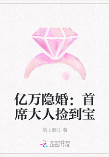 亿万隐婚：首席大人捡到宝