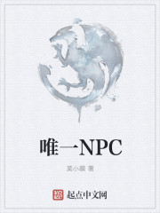 唯一NPC