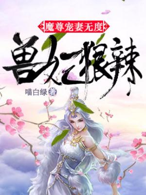 兽妃狠辣：魔尊宠妻无度