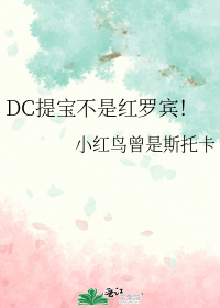 DC提宝不是红罗宾！