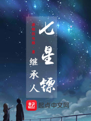 七星镖继承人