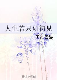 人生若只如初见