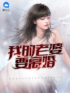 我的老婆要离婚文不凡