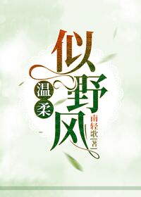 温柔似野风