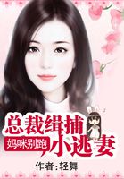 妈咪别跑：总裁缉捕小逃妻