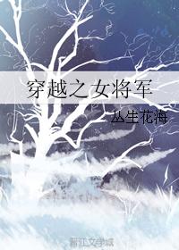 穿越之女将军